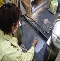 飲食店 害虫駆除